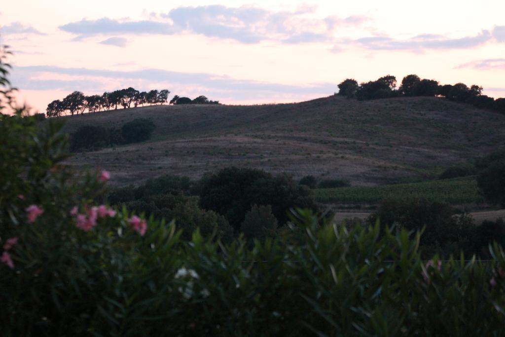 Agriturismo Pian Dei Pini Монтіано Екстер'єр фото